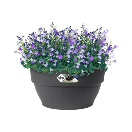 Elho Vibia Campana Plantenschaal Antraciet Ø34cm