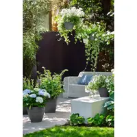 Elho Vibia Campana Plantenschaal Antraciet Ø34cm