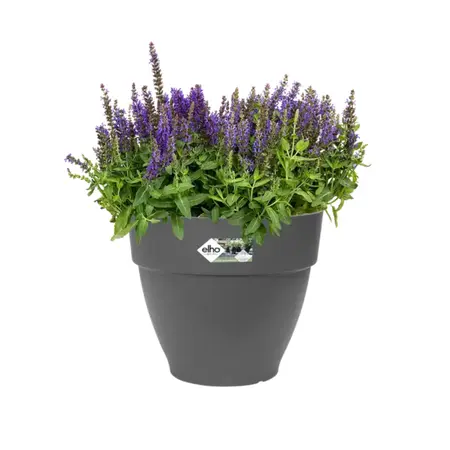 Elho Vibia Campana Rond Antraciet Ø40cm