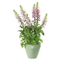 Elho Vibia Campana Rond Pistache Groen Ø30cm