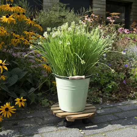 Esschert Design Plantentrolley Bruin Ø29cm