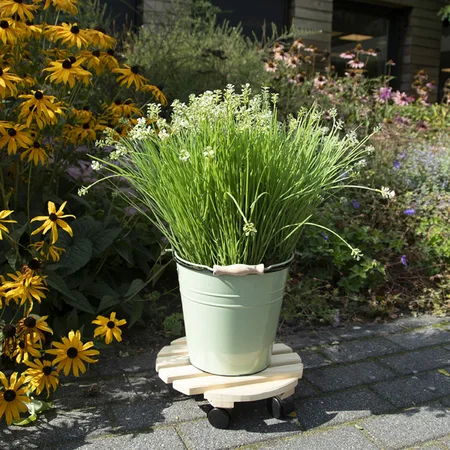 Esschert Design Plantentrolley Naturel Ø29cm