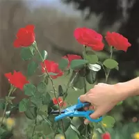 Gardena Multifunctionele Bloemenschaar