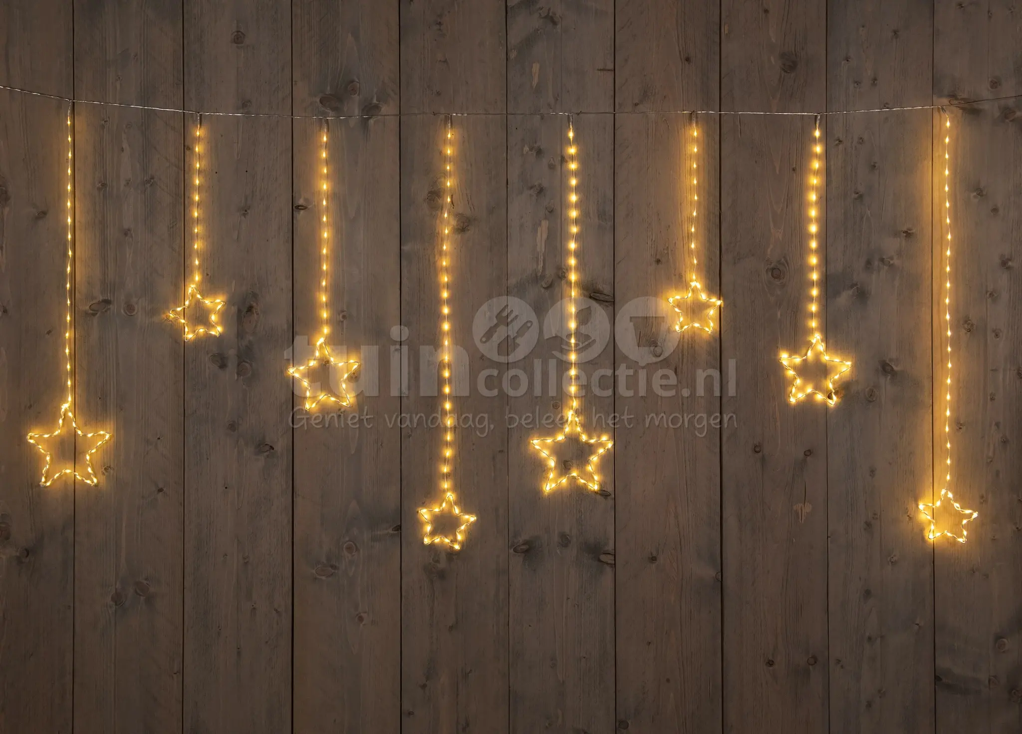 Ster Kerstverlichting | | 364 LED - Tuincollectie.nl