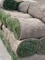 Graszoden