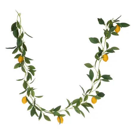 Guirlande Citrusfruit 180cm Assorti 1st