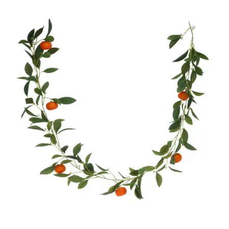 Guirlande Citrusfruit 180cm Assorti 1st