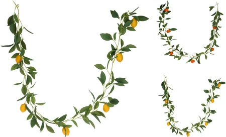Guirlande Citrusfruit 180cm Assorti 1st