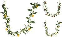 Guirlande Citrusfruit 180cm Assorti 1st