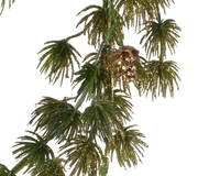 Guirlande Dennenappel Glitter 180cm