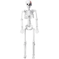 Halloween Skelet Kunststof Wit 90cm