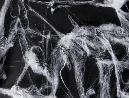 Halloween Spinnenweb met Zwarte Spinnen 80gr