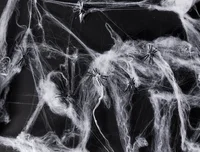 Halloween Spinnenweb met Zwarte Spinnen 80gr