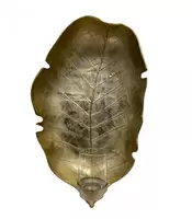 Wandkandelaar Dania Goud 69cm