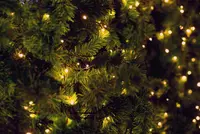 Kerstbomen met verlichting