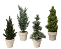 Kerstboompje 30cm Assorti 1st