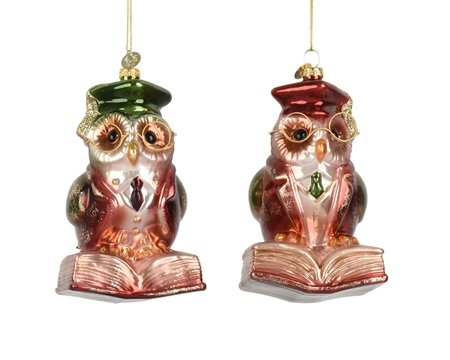 Kerstornament Uil Boek Glas 13cm Assorti 1st