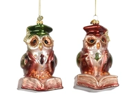 Kerstornament Uil Boek Glas 13cm Assorti 1st