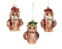 Kerstornament Uil met Boek Glas 13cm Assorti 1st