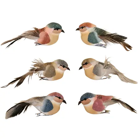 Kerstornament Vogel Clip 12,5cm Assorti 2st