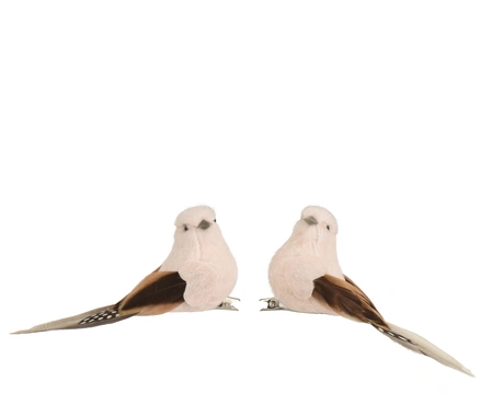 Kerstornament Vogel Clip Crème 2st