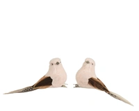 Kerstornament Vogel Clip Crème 2st