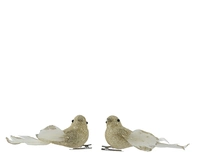 Kerstornament Vogel Clip Goud 2st