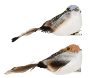 Kerstornament Vogel op Clip Assorti 2st