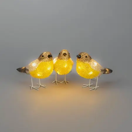 Kerstverlichting 3 Koolmezen Acryl 24 LED