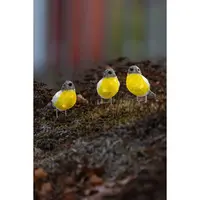 Kerstverlichting 3 Koolmezen Acryl 24 LED