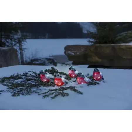 Kerstverlichting 5 Goudvinken Acryl 40 LED