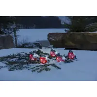 Kerstverlichting 5 Goudvinken Acryl 40 LED
