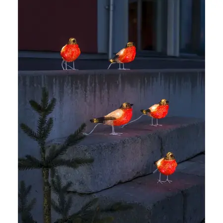 Kerstverlichting 5 Goudvinken Acryl 40 LED