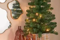 Kleine kerstbomen (<100cm)