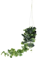 Kunst Hangplant in Potje 56cm Assorti 1st