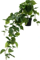 Kunst Hangplant Philodendron Scandens 80cm