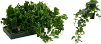 Kunst Hangplant Philodendron Scandens 80cm