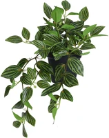Kunst Hangplant Tradescantia 42cm Assorti 1st