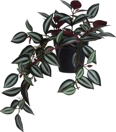 Kunst Hangplant Tradescantia 42cm Assorti 1st