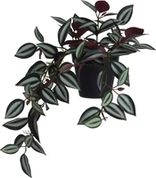 Kunst Hangplant Tradescantia 42cm Assorti 1st