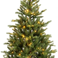 Kunstkerstboom Allison 320 LED 180cm