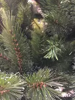 Kunstkerstboom Forest Frosted Slim groen 185cm