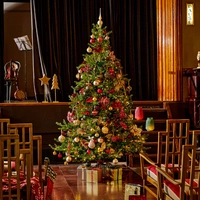 Kunstkerstboom Grandis 550 LED 210cm
