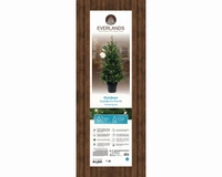 Kunstkerstboom Grandis in pot 100 LED 120cm