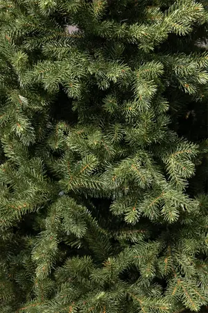 Kunstkerstboom Hackberry 215cm