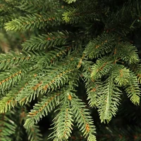 Kunstkerstboom Harrison 230cm