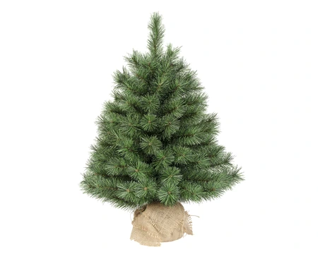 Kunstkerstboom Malmö Frosted 60cm