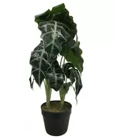 Kunstplant alocasia