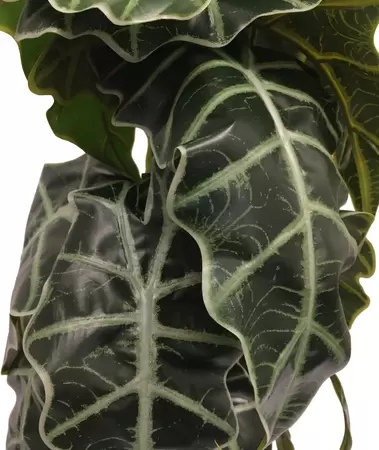 Alocasia kunstplant