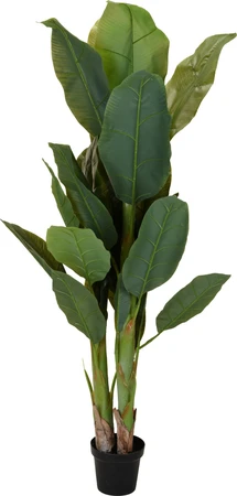 Kunstplant Bananenplant 165cm